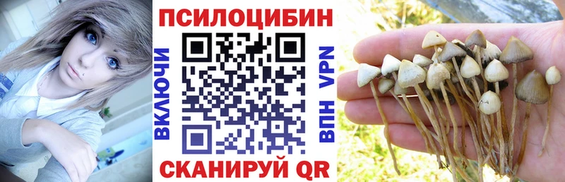 Купить  Сковородино  Псилоцибиновые грибы Magic Shrooms 