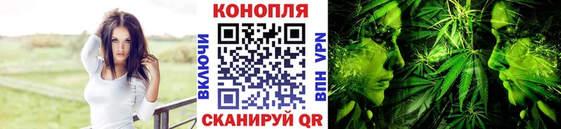Купить закладки  Сковородино  Шишки марихуана сатива 